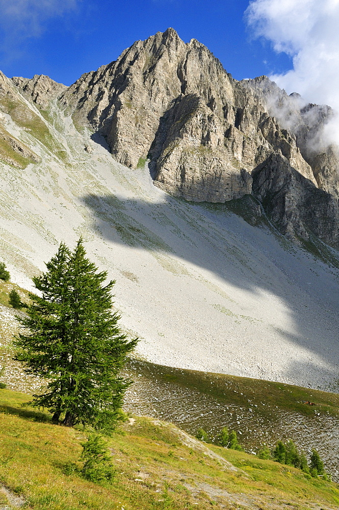 Mountain in the upper Var valley, Mercantour National Park, Haute Verdon mountains, Alpes-de-Haute-Provence, France, Europe