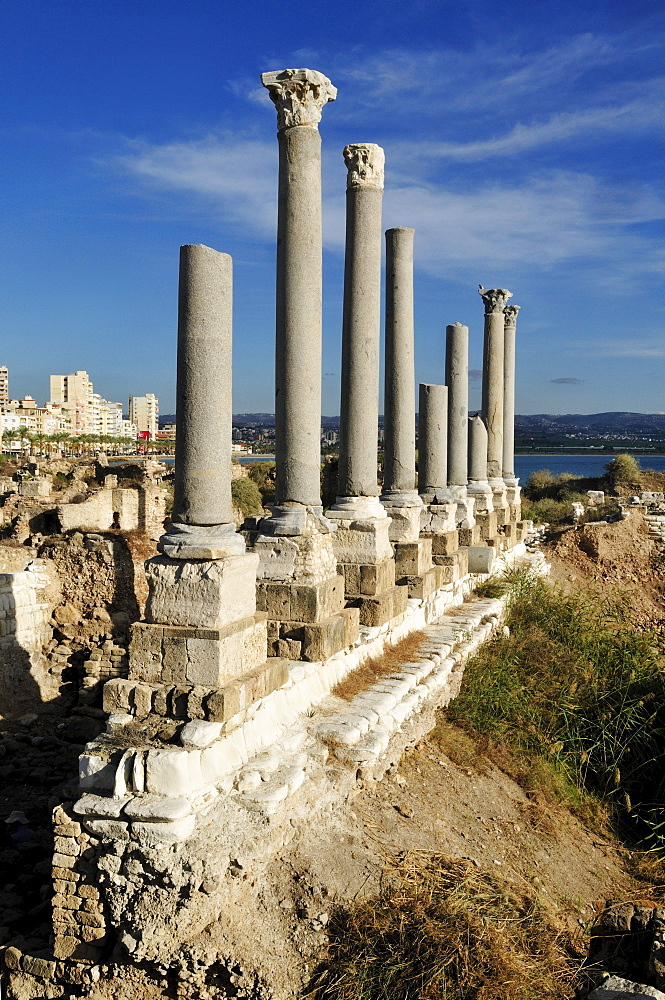 Antique archeological site of Tyros, Tyre, Sour, Unesco World Heritage Site, Lebanon, Middle East, West Asia