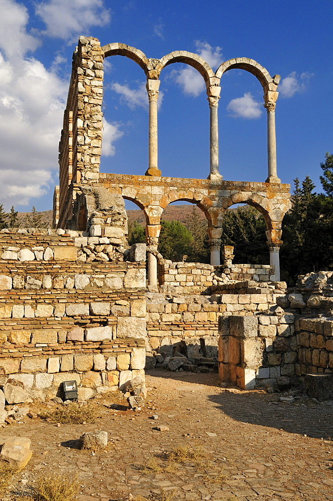 Ancient Umayyad ruins at the archeological site of Anjar, Unesco World Heritage Site, Bekaa Valley, Lebanon, Middle East, West Asia