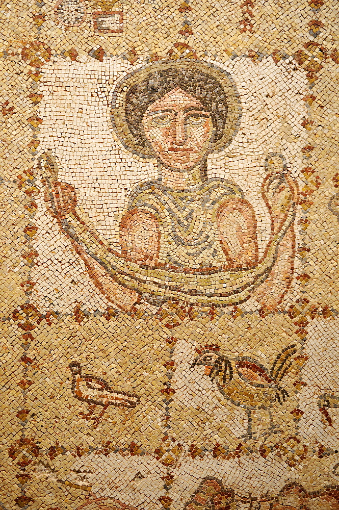 Byzantine mosaic display at historic Beit ed-Dine, Beiteddine Palace of Emir Bashir, Chouf, Lebanon, Middle East, West Asia