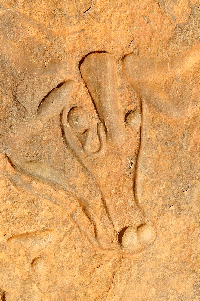 Rock engraving of a crying cow, neolithic rock art near Djanet, Tassili n'Ajjer National Park, Unesco World Heritage Site, Wilaya Illizi, Algeria, Sahara, North Africa, Africa