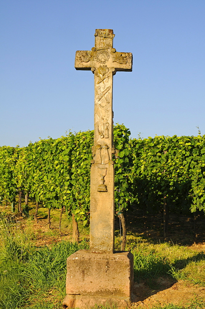 Stone wayside cross with inscriptions and figurative reliefs on the Alsatian wine road, Alsace, France, Europe