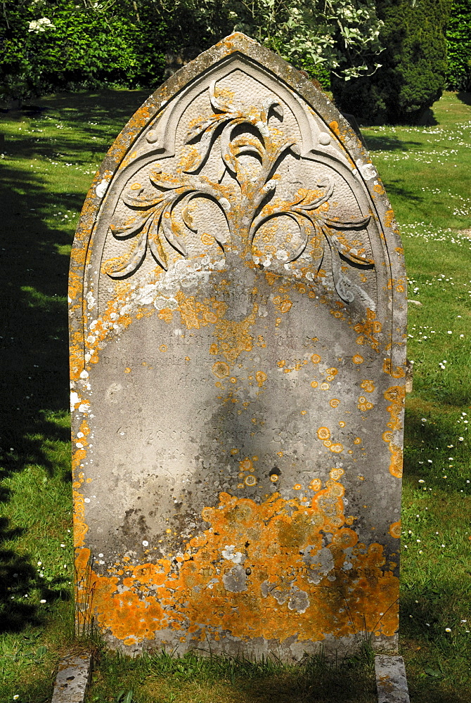 Old grave stone with a relief of the tree of life, cemetery of the Church of St. John the Baptist, Bere Regis, Dorset, southern England, England, United Kingdom, Europe