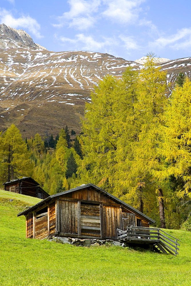 Old wooden hut, autumn trees in the Gsies valley, St. Magdalena, Province of Bolzano-Bozen, Italy, Europe