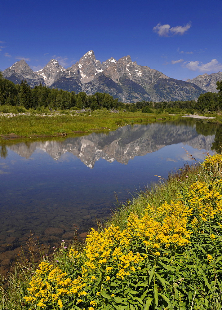 Snake River, Schwabacher Landing, in front of the Teton Range, Grand Teton National Park, Wyoming, United States of America, USA