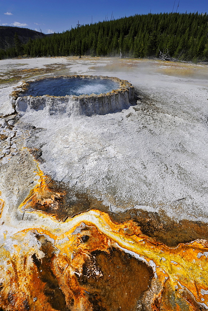 Punch Bowl Spring, geyser, drainage area, coloured thermophilic bacteria, microorganisms, Black Sand Basin, Upper Geyser Basin, Yellowstone National Park, Wyoming, United States of America, USA