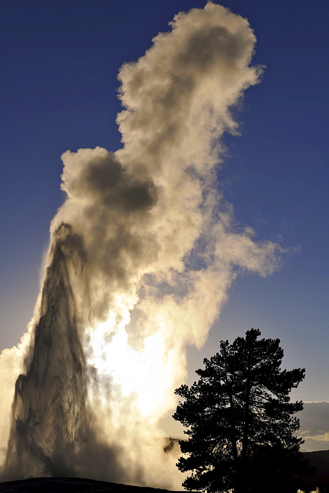 Old Faithful geyser, Upper Geyser Basin, geothermal springs in Yellowstone National Park, Wyoming, United States of America, USA