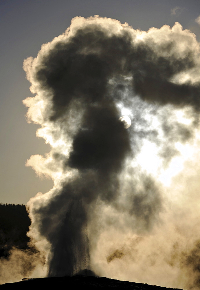 Eruption of the Old Faithful geyser, Upper Geyser Basin, geothermal springs in Yellowstone National Park, Wyoming, United States of America, USA