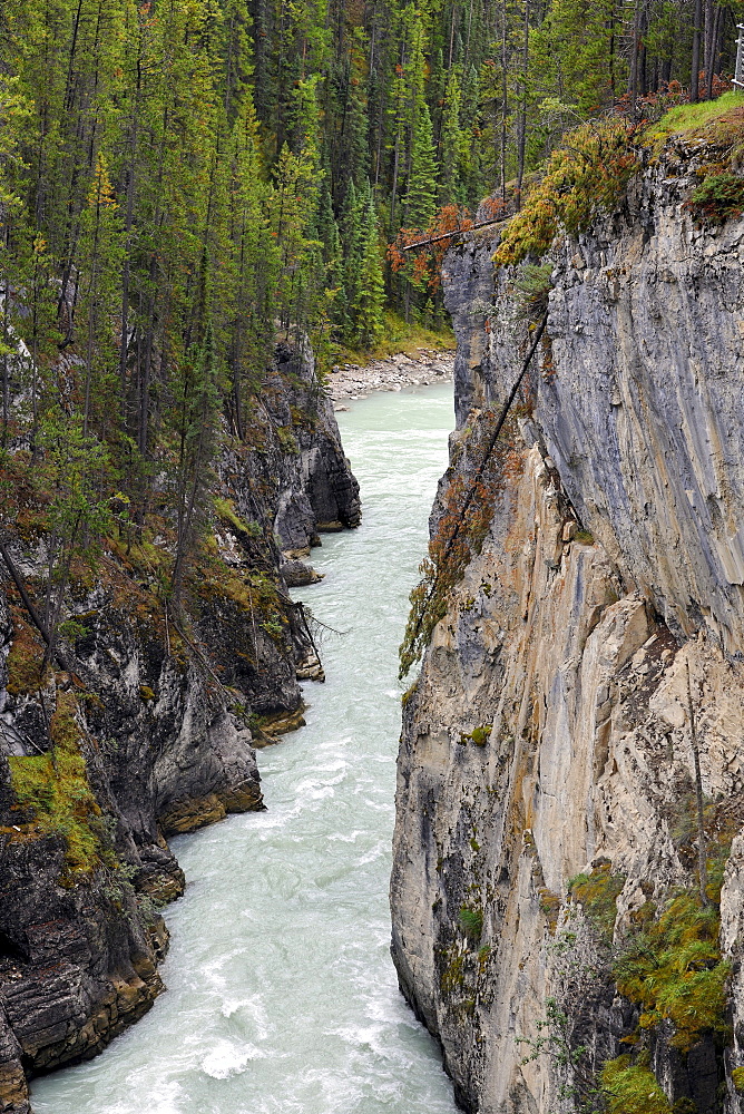 Athabasca Falls waterfall, Athabasca River, Jasper National Park, Canadian Rockies, Rocky Mountains, Alberta, Canada