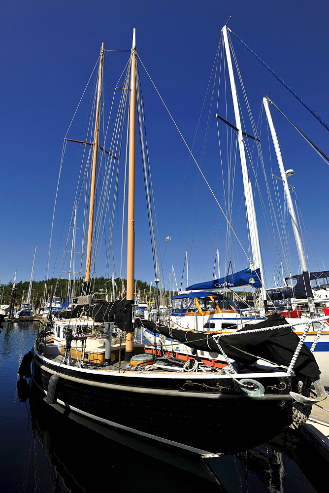 Boats anchor off Friday Harbor, San Juan Island, Washington, Strait of Juan de Fuca, United States of America, USA