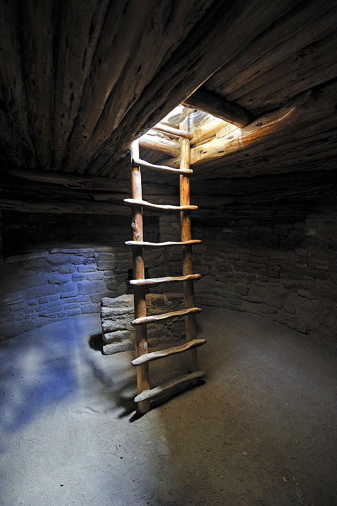 Ladder into an underground room, Kiwa, Spruce Tree House, a cliff dwelling of the Native American Indians, about 800 years old, Mesa Verde National Park, UNESCO World Heritage Site, Colorado, USA, North America