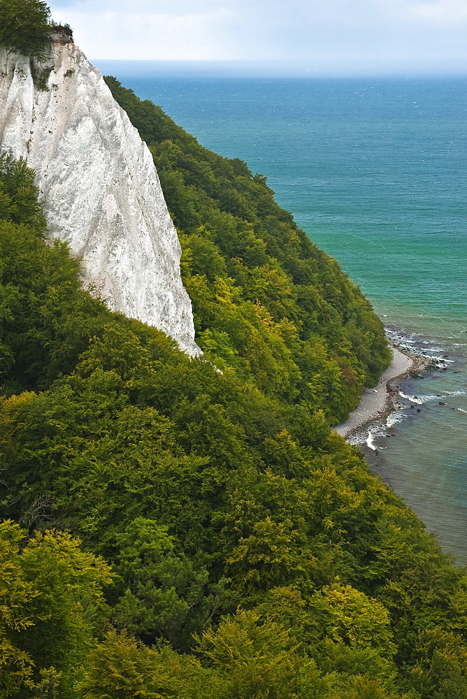 Koenigsstuhl, King's Chair, cretaceous rocks, chalk cliffs, Jasmund National Park, Ruegen, Mecklenburg-Western Pomerania, Germany, Europe