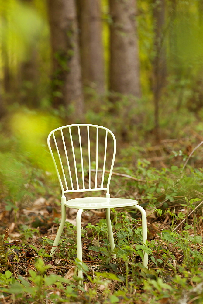 Chair in the forest