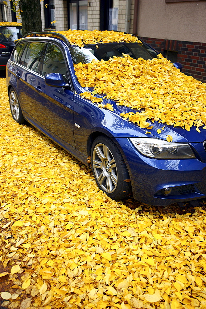 Parked car, fully covered with autumn leaves, Germany, Europe