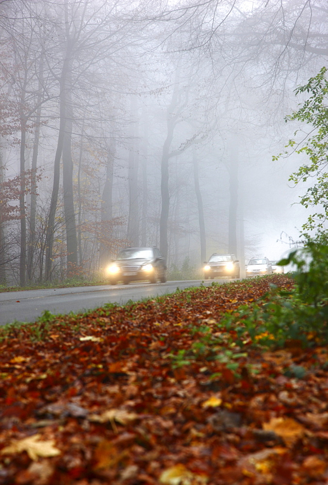 Highway in dense fog, autumn, visibility below 100 metres, Essen, North Rhine-Westphalia, Germany, Europe