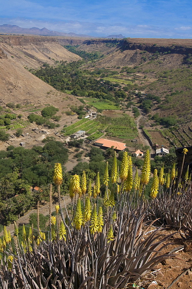 View over valley and blooms, Ciudad Velha, Cidade Velha, island of Santiago, Cabo Verde, Africa