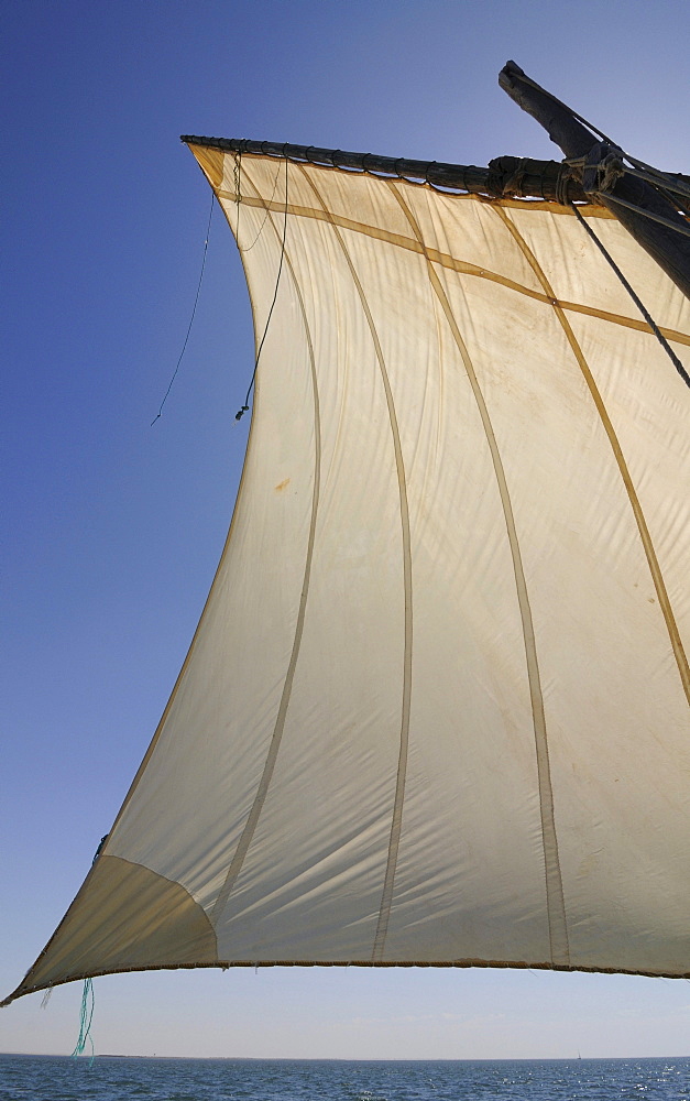 Huge sail on a traditional sailing boat, Banc d' Arguin, Mauretania, northwestern Africa