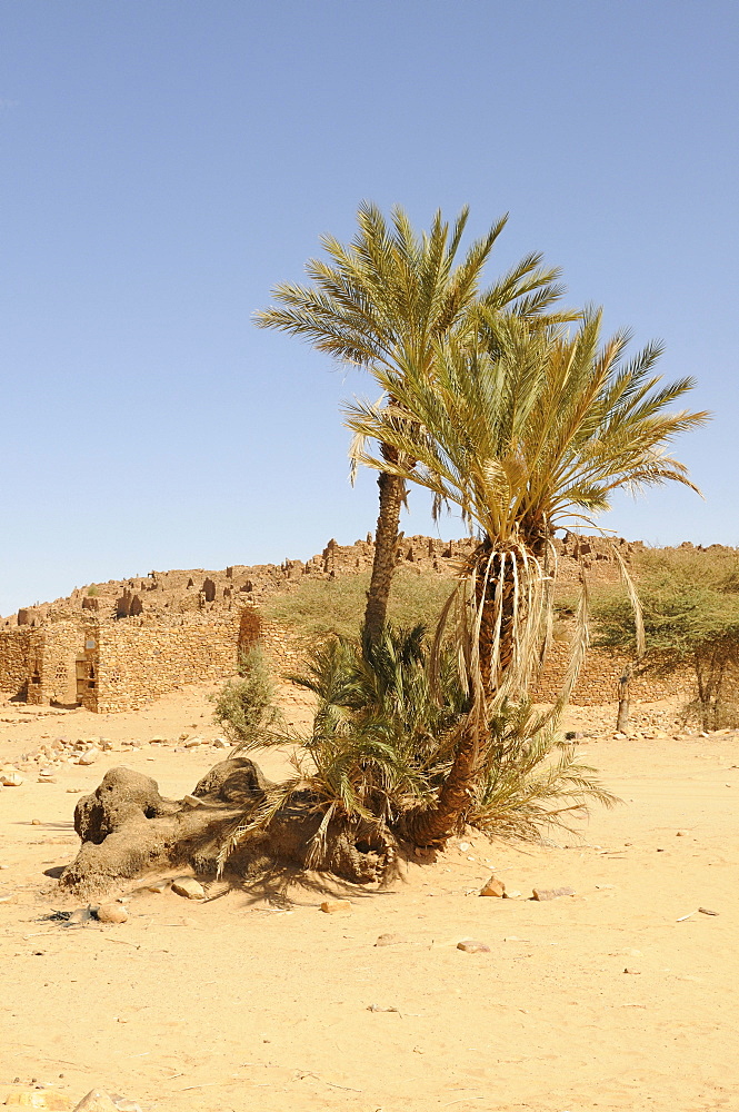 The ruins of Ouadane, UNESCO World Heritage Site, Mauritania, northwestern Africa