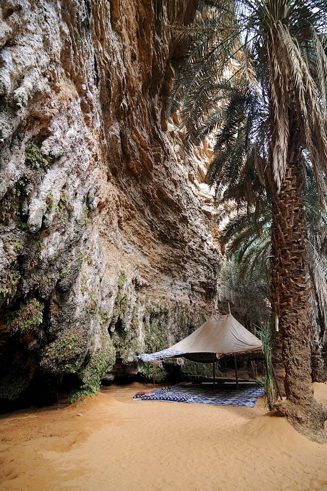 The oasis of Tirjit, near Atar, Mauretania, northwestern Africa