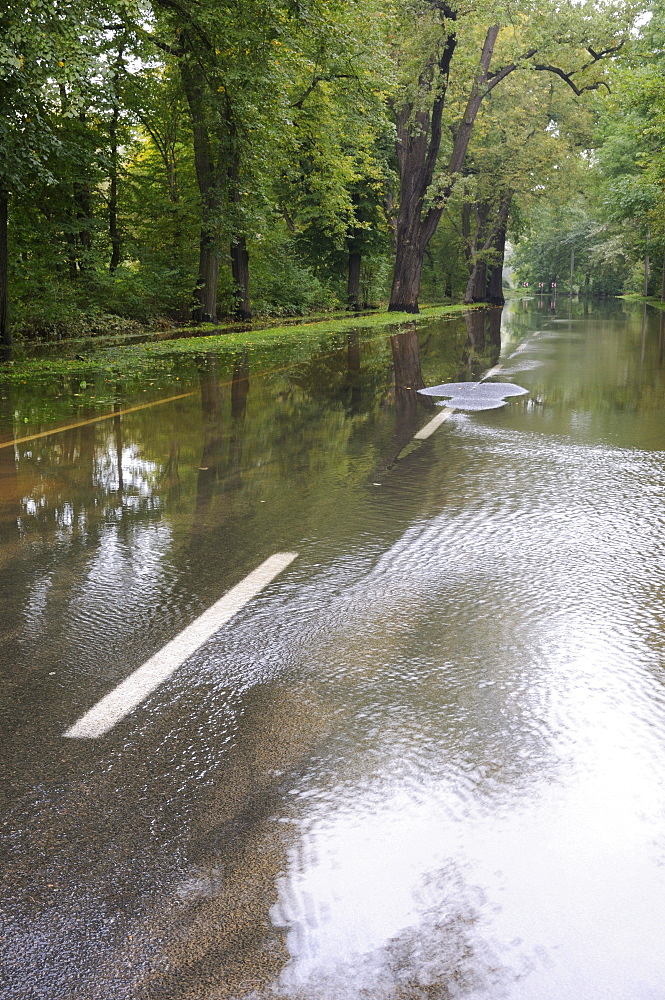 High water, flooded street in Dessau, Elbe river flood in 2010, Saxony-Anhalt, Germany, Europe