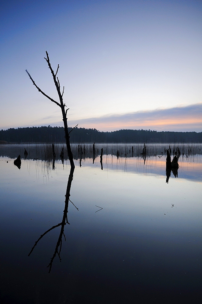 Sunrise on a lake in the Mueritz National Park, Mecklenburg-Western Pomerania, Germany, Europe