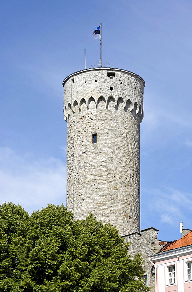 Castle of the Order of the Teutonic Knights, Tall Hermann Tower, seat of the Estonian parliament, Tallinn, formerly Reval, Estonia, Baltic States, Northern Europe