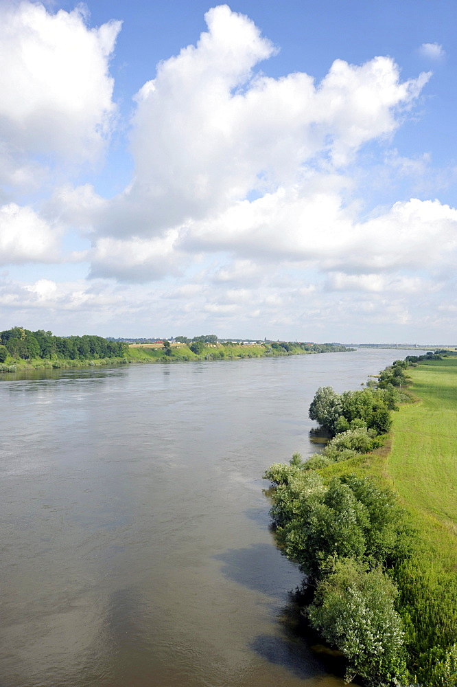 Vistula River, landscape near Marienburg, Malbork, Mazury, Poland, Europe