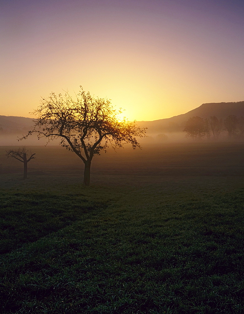 Sunrise at Albtrauf near Dettingen, Swabian Alb, Baden-Wuerttemberg, Germany, Europe