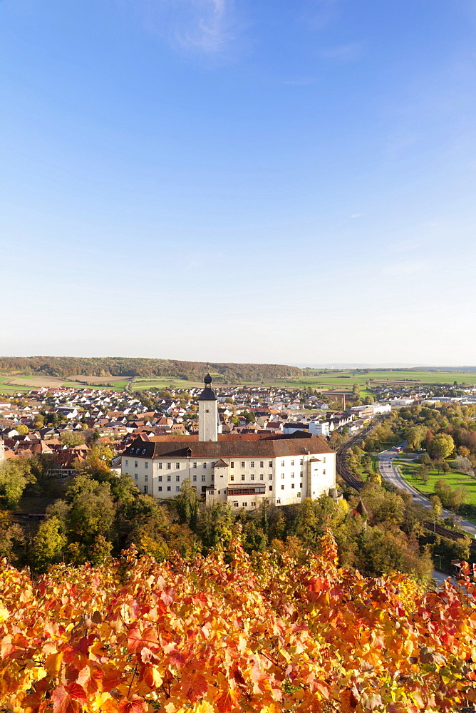 Schloss Horneck Castle surrounded by vineyards in Gundelsheim am Neckar, Baden-Wuerttemberg, Germany, Europe