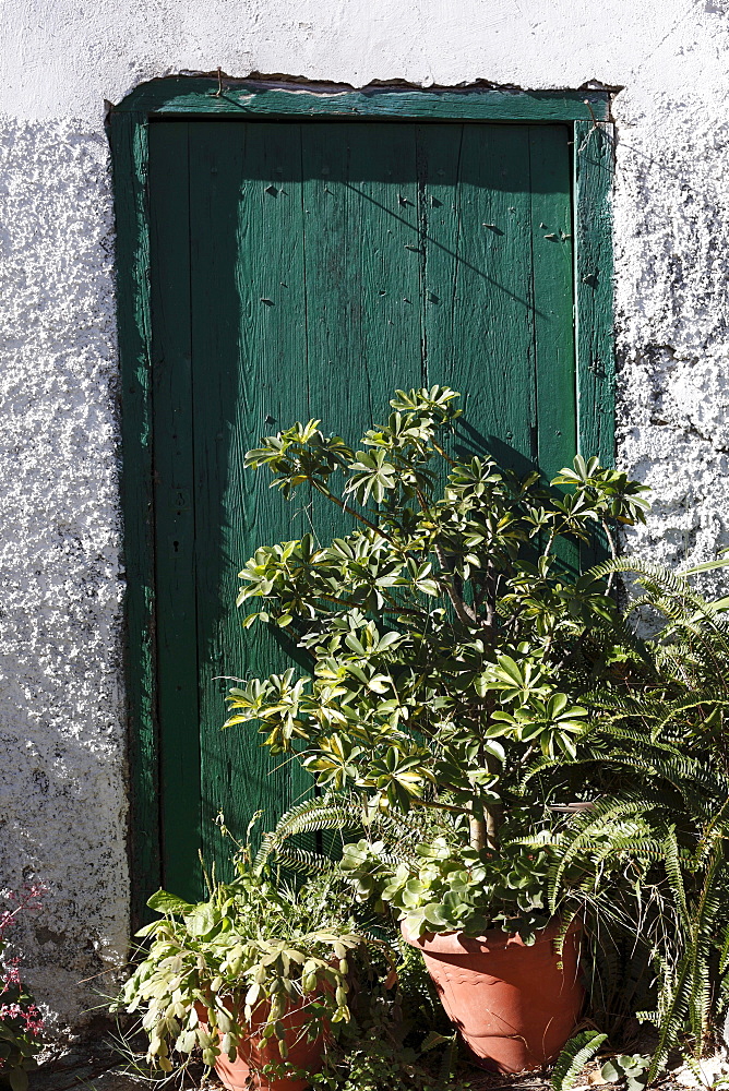 Potted plants outside the door, village of Macayo near Vallehermoso, La Gomera, Canary Islands, Spain, Europe