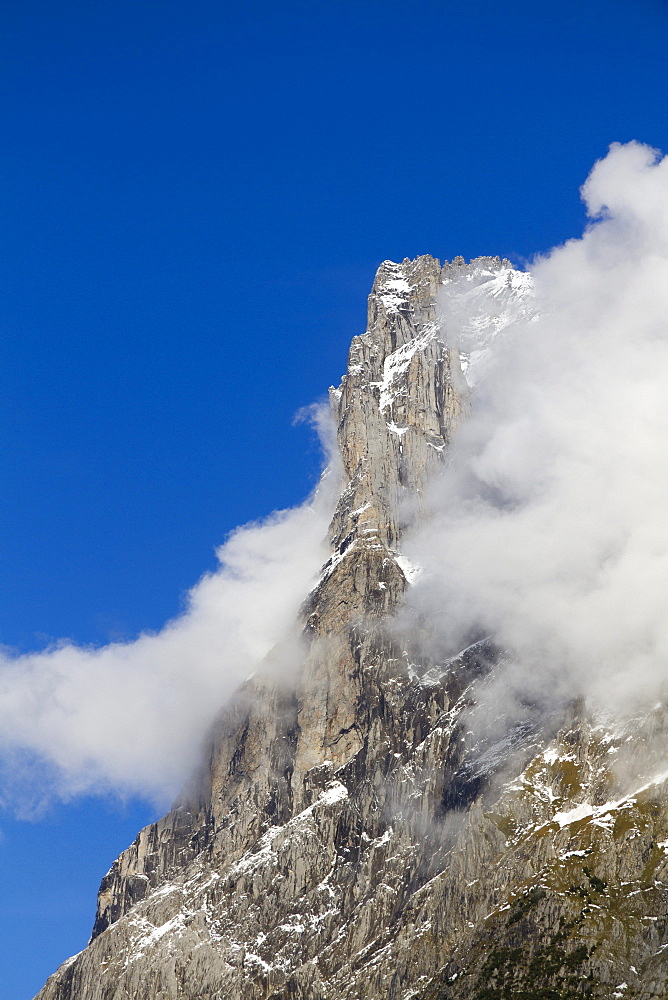 Wetterhorn mountain, west pillar, Grindelwald, Bernese Oberland region, canton of Bern, Switzerland, Europe