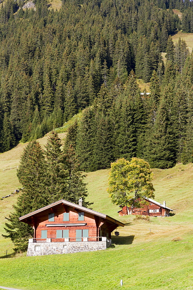 Alpine cabins on the ridge above Grindelwald, Bernese Oberland, Canton of Bern, Switzerland, Europe