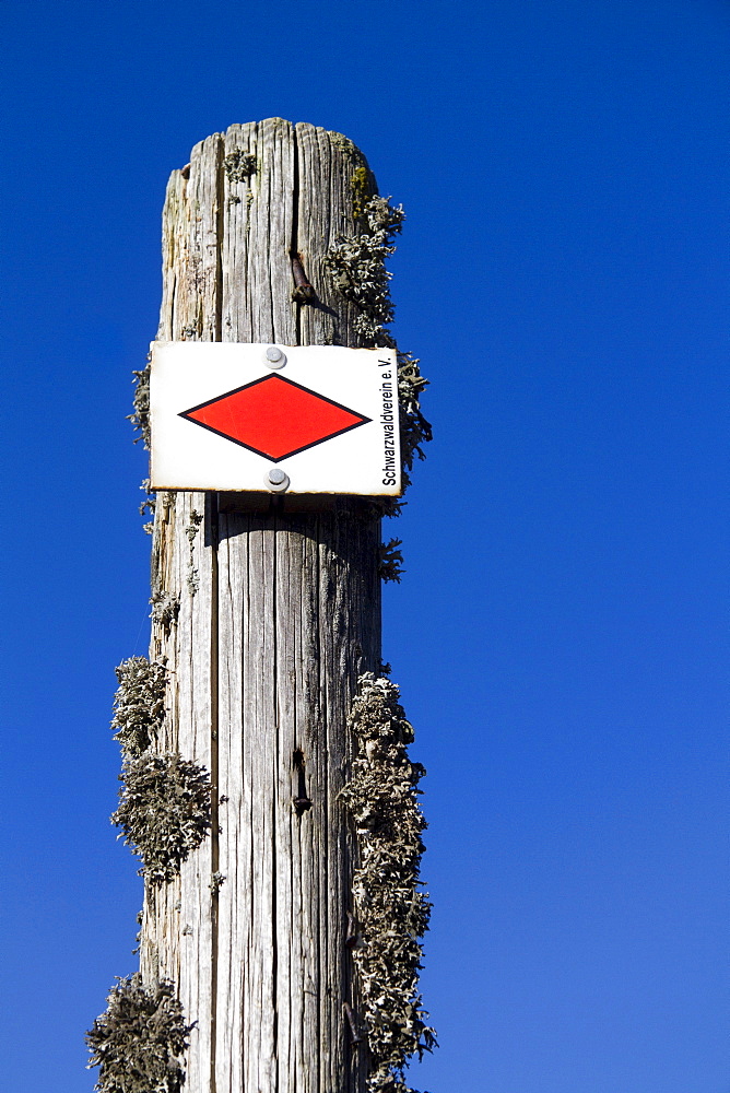 Signpost, Mt. Feldberg, Black Forest, Black Forest, Landkreis Hochschwarzwald county, Baden-Wuerttemberg, Germany, Europe