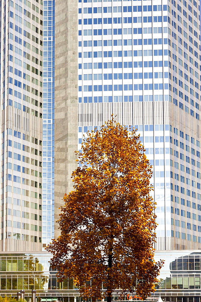 ECB, European Central Bank, autumn, Frankfurt am Main, Hesse, Germany, Europe