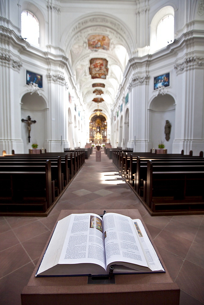 The Kollegiatstift Neumuenster collegiate church, Wuerzburg diocese, Kardinal-Doepfner-Platz square, Wuerzburg, Bavaria, Germany, Europe