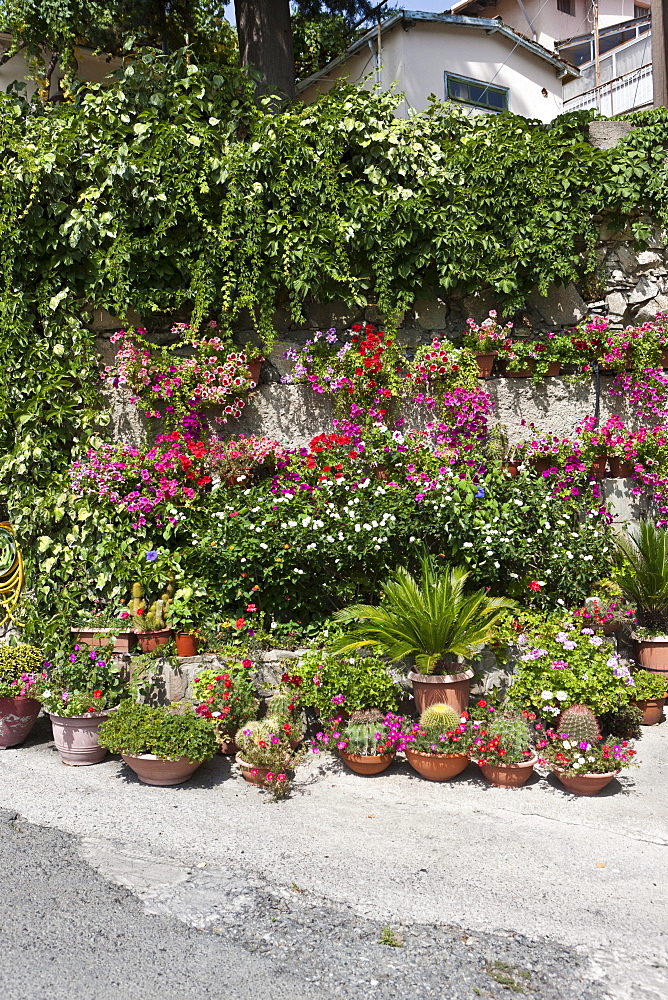 Old house with plants, Troodos Mountains, Central Cyprus