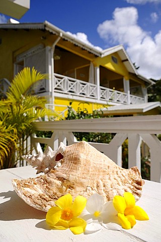 Beachcombers Hotel, Kingstown, Saint Vincent, Caribbean