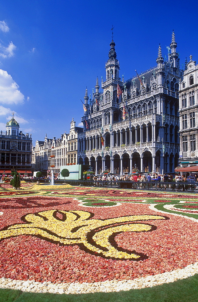 Carpet of flowers on the Grote Markt square, also called Grand Place square, Maison du Roi building, also known as Breadhouse, which accommodates the municipal museum, Brussels, Belgium, Europe