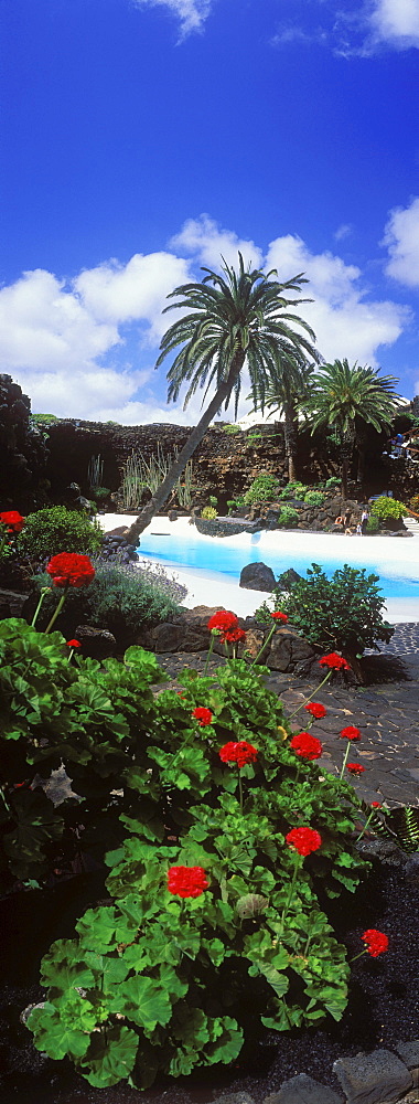 Swimming pool in the lava cave, Jameos del Agua, built by the artist Cesar Manrique, Lanzarote, Canary Islands, Spain, Europe