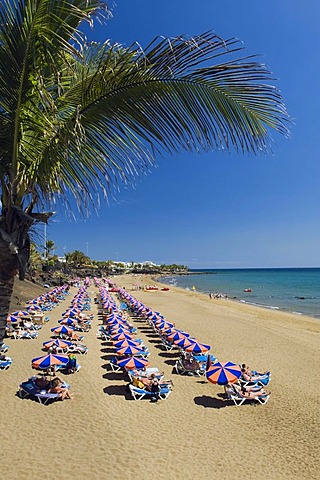 Beach umbrellas on the sandy beach, Playa Grande, Puerto del Carmen, Lanzarote, Canary Islands, Spain, Europe