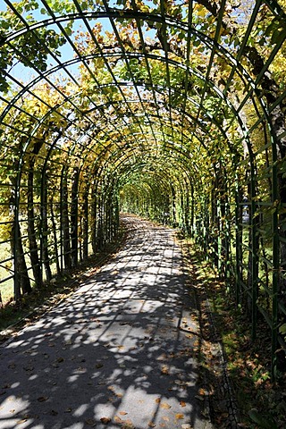 Arcade, Schlosspark Gardens, Schloss Linderhof Palace, Graswangtal, Bavaria, Germany, Europe