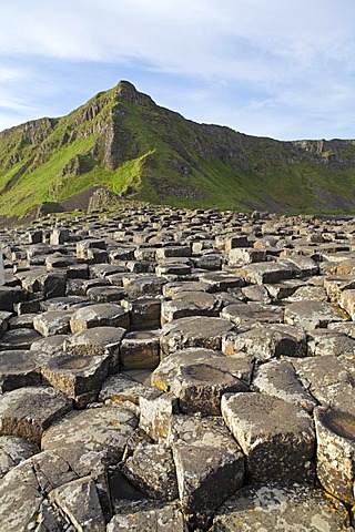 Giants Causeway, County Antrim, Northern Ireland, Europe