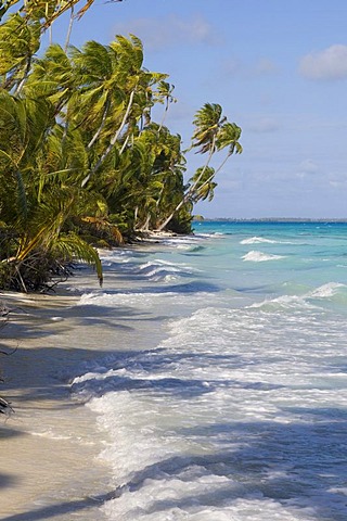 Beach, Fakarava, Havaiki-te-araro, Havai'i or Farea atoll, Tuamotu Archipelago, French Polynesia, Pacific Ocean