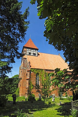 Marienkirche, St. Mary's Church, historic church from the 13th century, in Brandshagen, municipality of Sundhagen, Nordvorpommern district, Mecklenburg-Western Pomerania, Germany, Europe