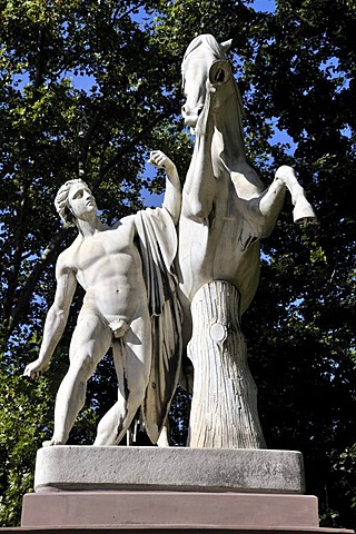 Group of horse tamers, sculpture made of carrara marble, by Ludwig von Hofer 1844-1847, at the beginning of the avenue lined with plane trees leading to Schloss Rosenstein castle, park, Stuttgart, Baden-Wuerttemberg, Germany, Europe