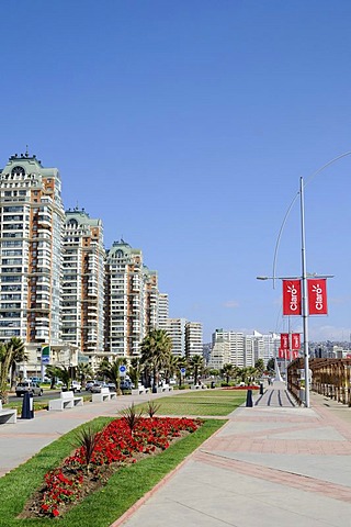 High-rise buildings, boulevard, promenade, resort, Vina del Mar, Chile, South America