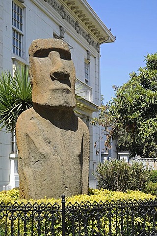 Moai, Easter Island statue, Fonck Museum, natural history museum, archaeological museum, Vina del Mar, Chile, South America