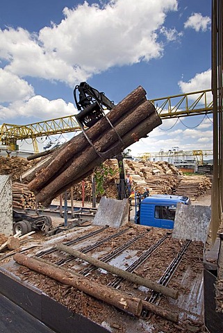 Pfleiderer AG company, production site for chipboards, logs are being delivered for further processing, Neumarkt, Bavaria, Germany, Europe