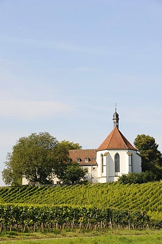 Church, Vogelsburg, Volkach, Bavaria, Germany, Europe