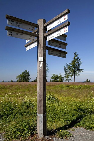 Signpost on Kahlen Asten Mountain, Winterberg, Sauerland, North Rhine-Westphalia, Germany, Europe